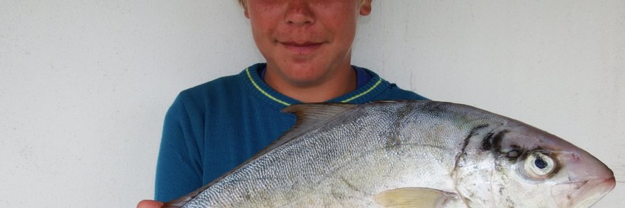 Hennie Groenewald (14) met sy langvin-geelstert wat hy by Gansbaai hawe gevang het  